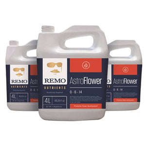 Remo Astro Flower 4L