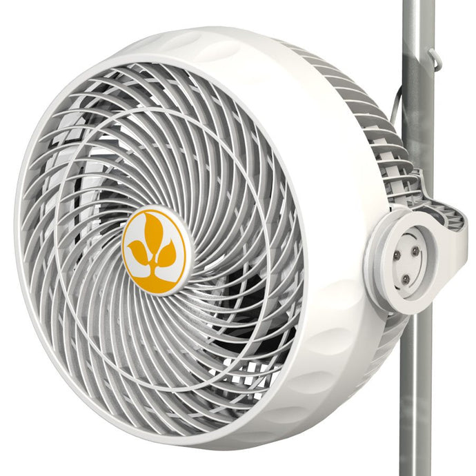 SECRET JARDIN MONKEY FAN VENTILATEUR 30W 10''